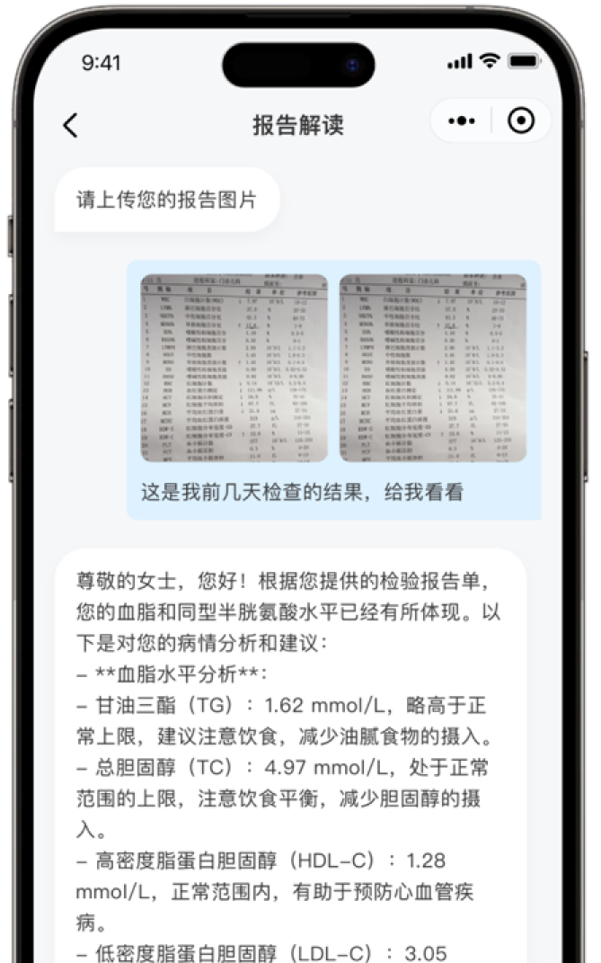 报告解读
